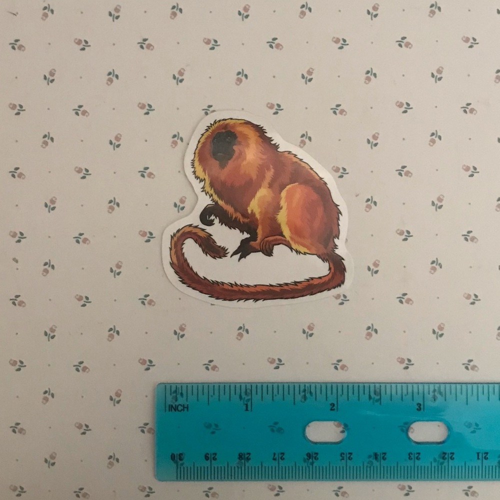Monkey Sticker - Picture 3 of 3